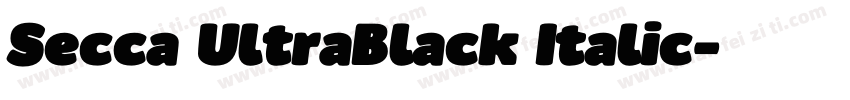 Secca UltraBlack Italic字体转换